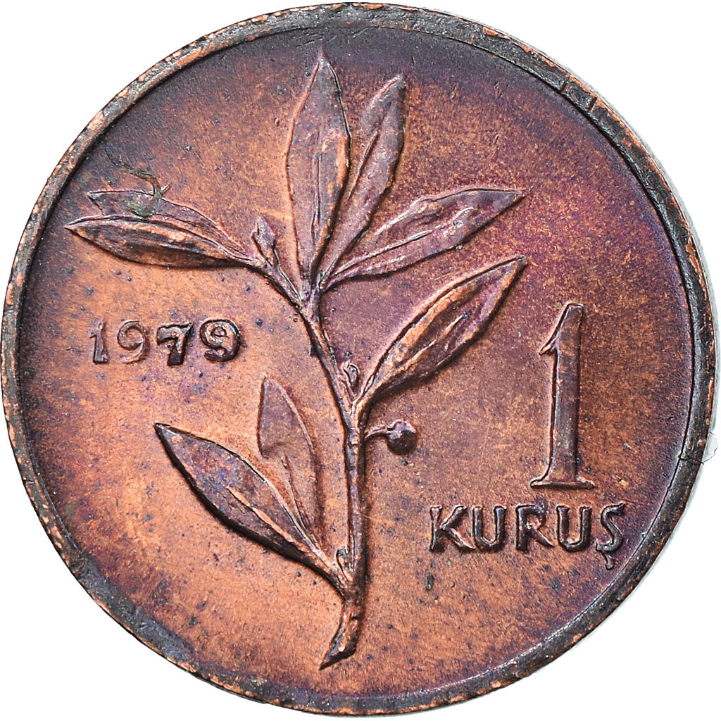 Moeda, Turquia, Kurus, 1979, EF(40-45), Bronze, KM:924