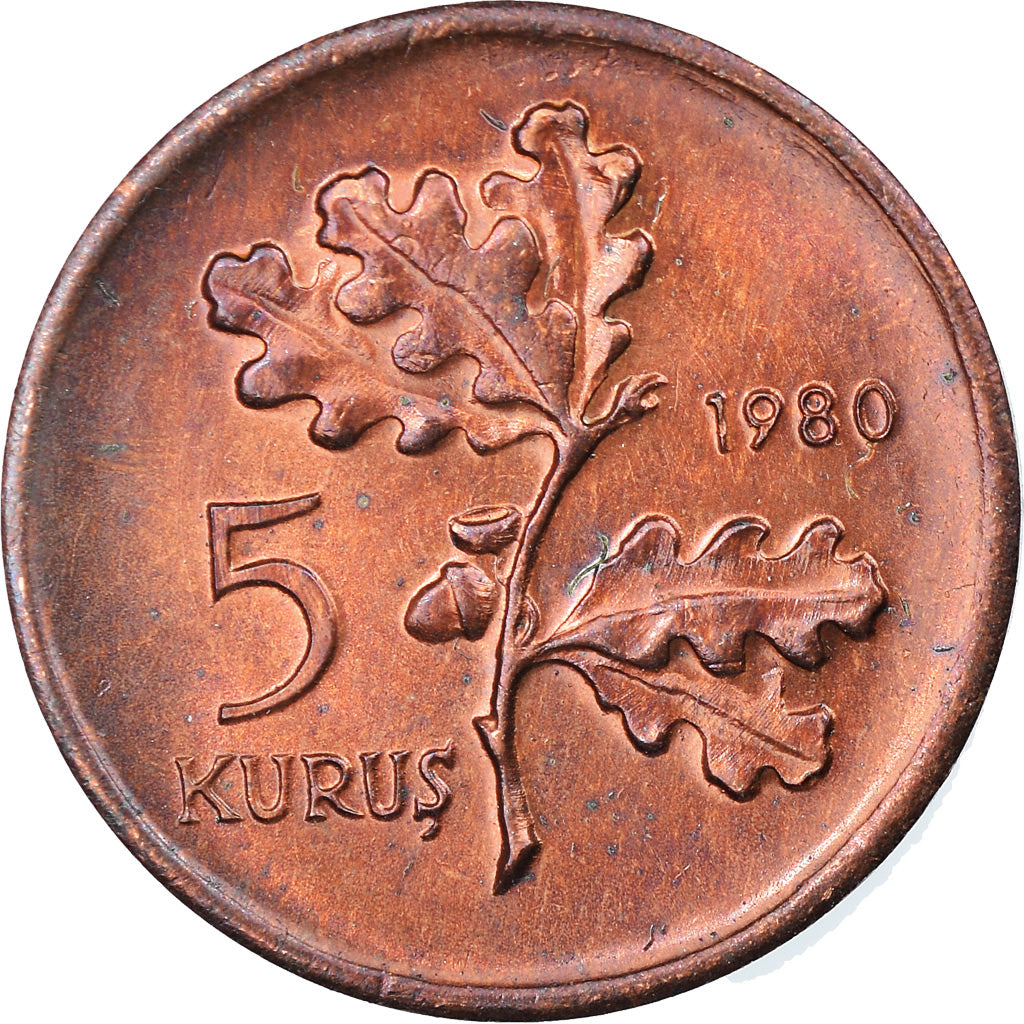 Coin, Turkey, 5 Kurus, 1980, EF(40-45), Bronze, KM:934