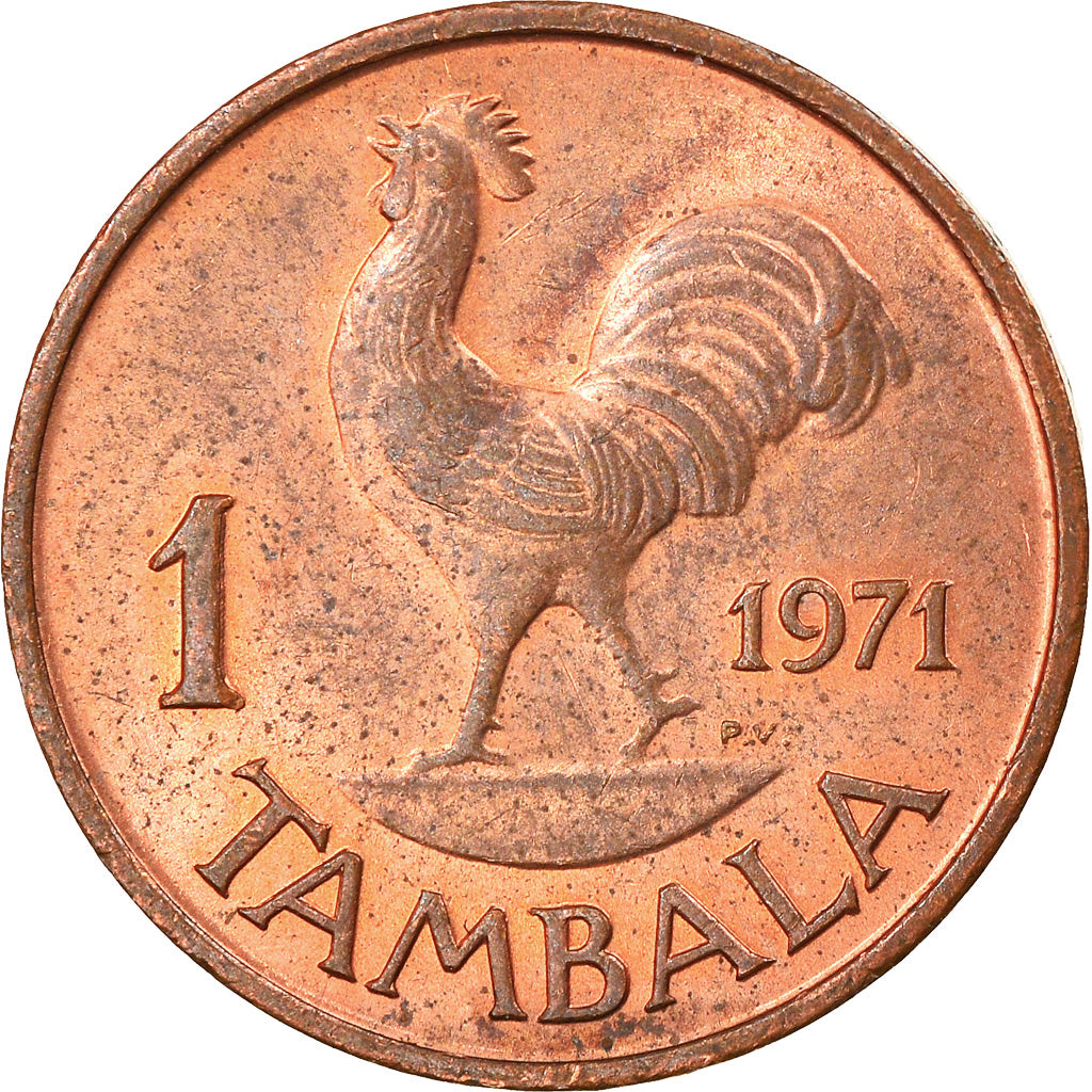Coin, Malawi, Tambala, 1971, VF(30-35), Bronze, KM:7.1