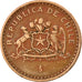Moneta, Cile, 100 Pesos, 1996, Santiago, MB+, Alluminio-bronzo, KM:226.2