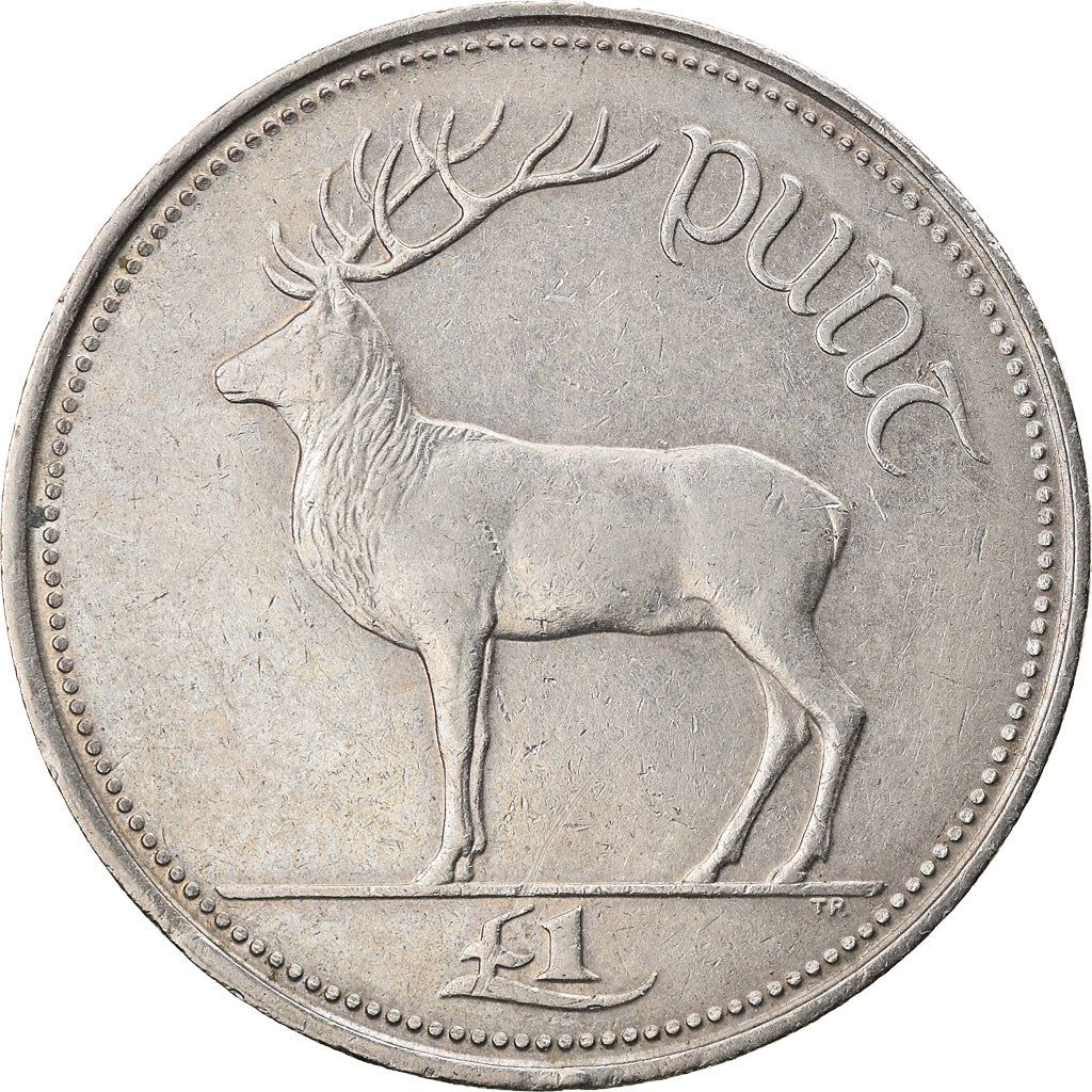 Coin, IRELAND REPUBLIC, Punt, Pound, 1994, EF(40-45), Copper-nickel, KM:27