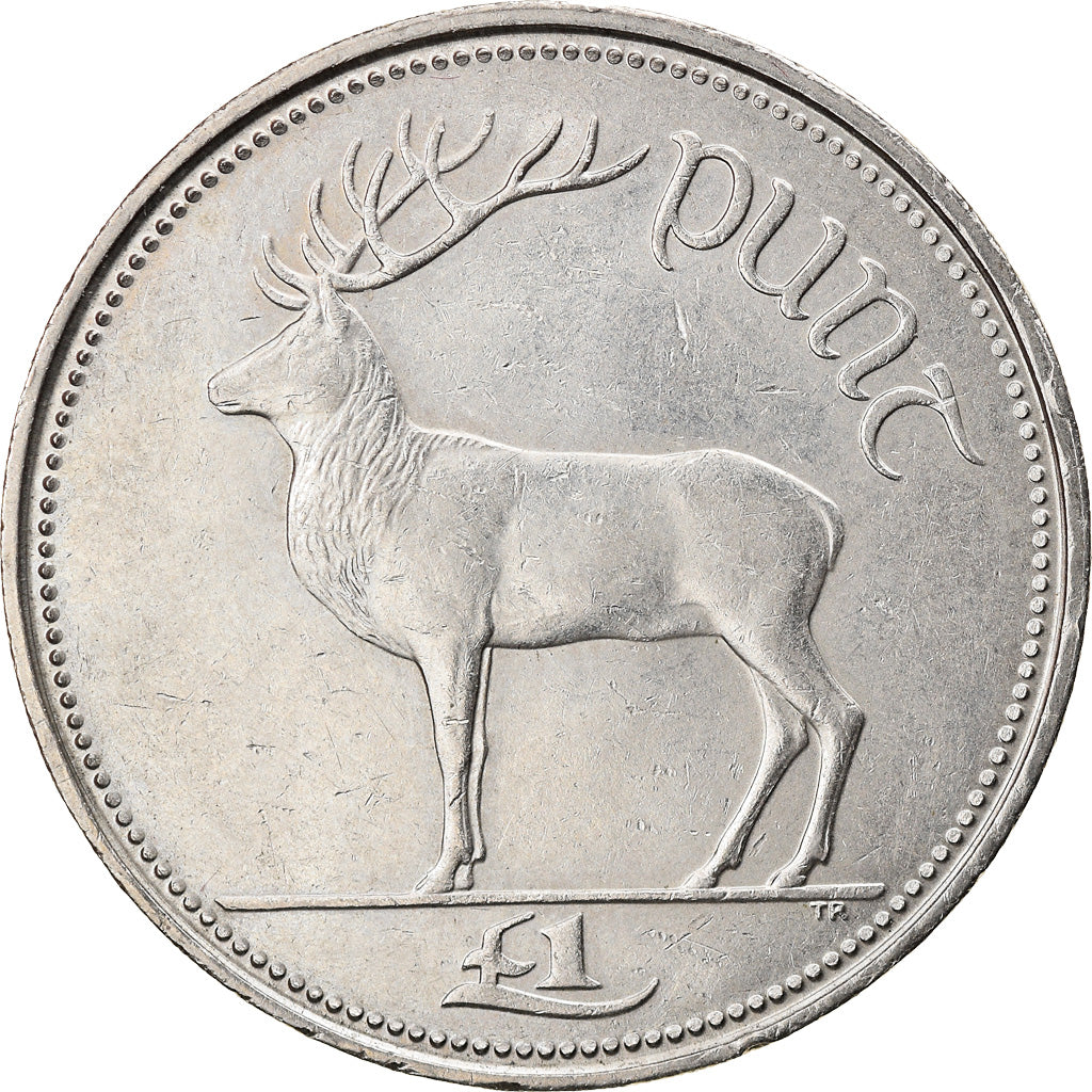 Coin, IRELAND REPUBLIC, Punt, Pound, 1994, EF(40-45), Copper-nickel, KM:27