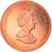 Coin, Tristan Da Cunha, Elizabeth II, 1/2 Penny, 2008, Franklin Mint, MS(63)