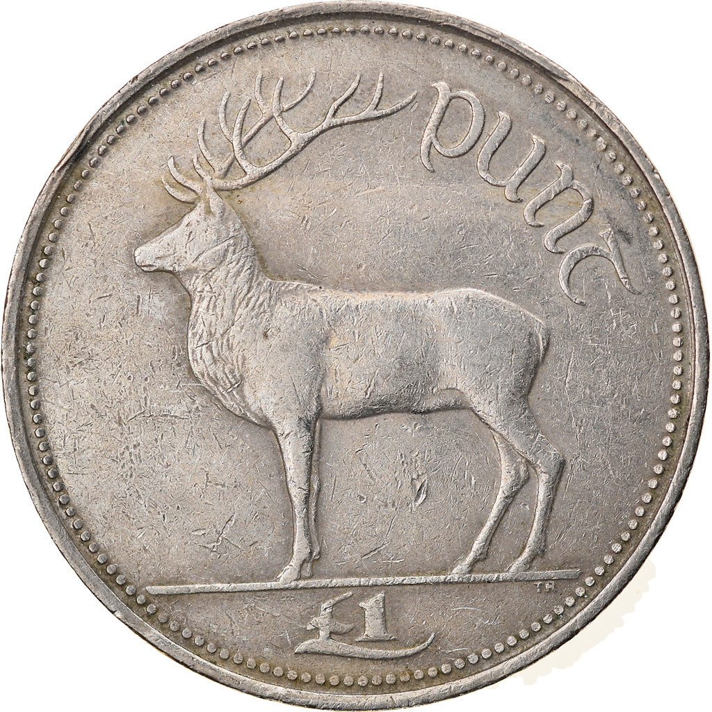Coin, IRELAND REPUBLIC, Punt, Pound, 1994, EF(40-45), Copper-nickel, KM:27