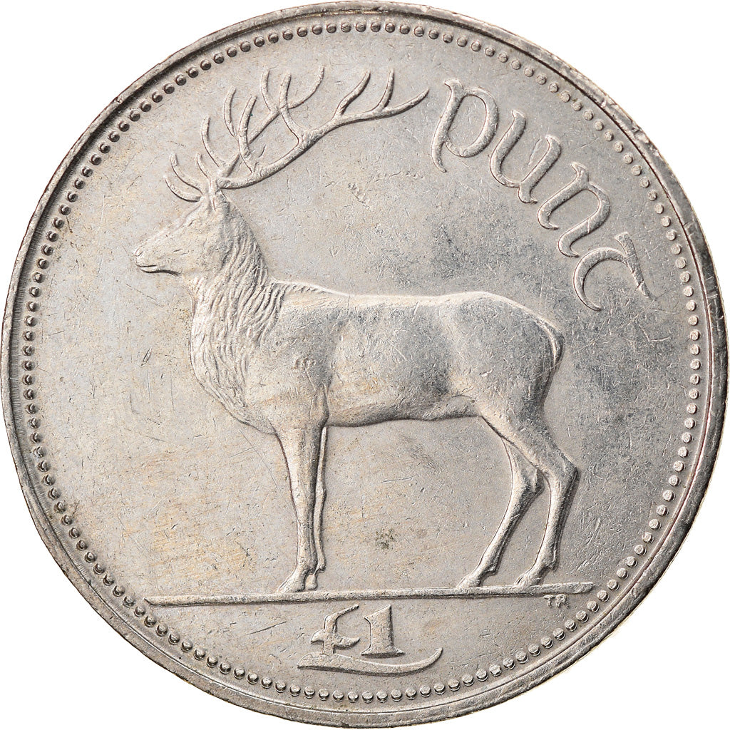 Coin, IRELAND REPUBLIC, Punt, Pound, 1996, EF(40-45), Copper-nickel, KM:27