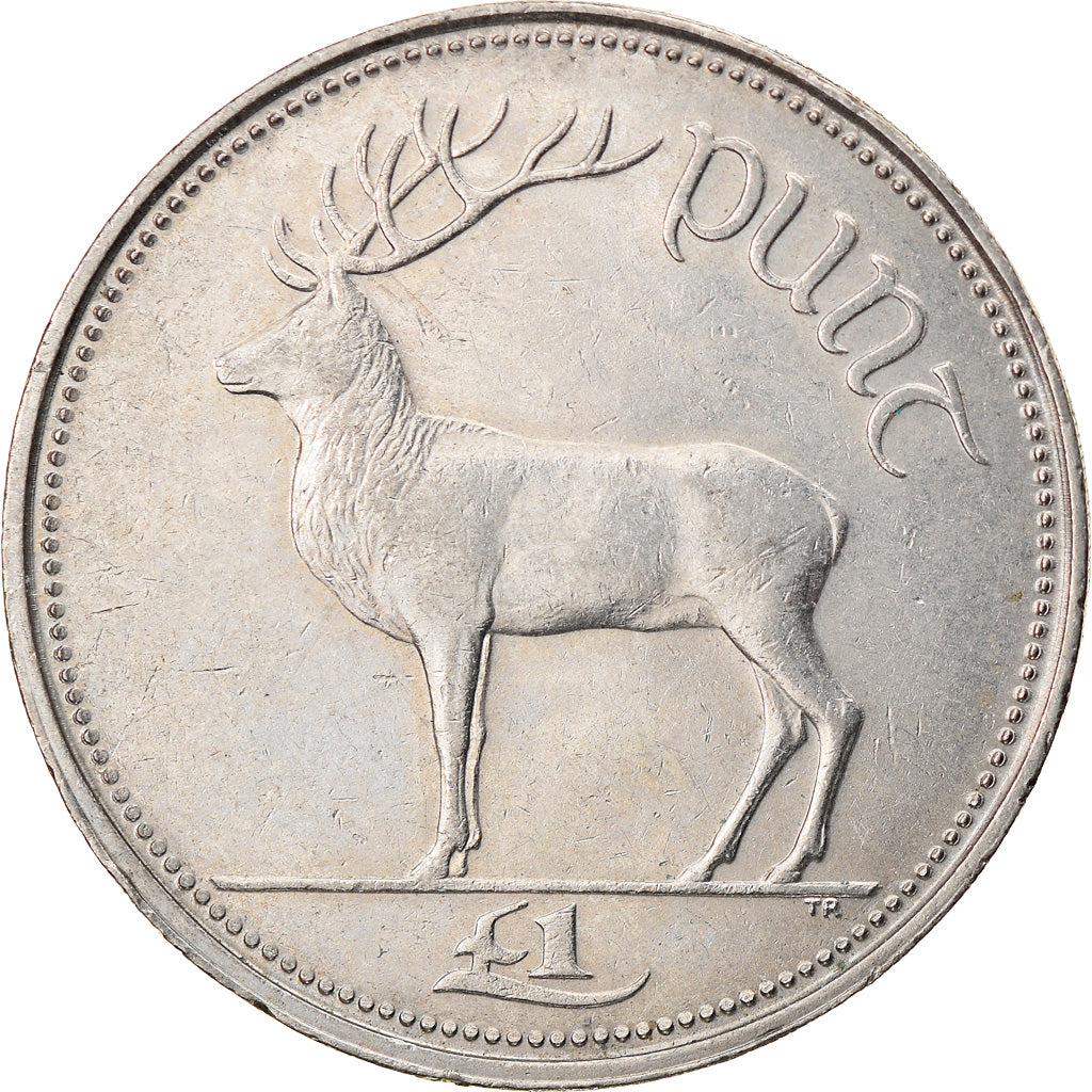Coin, IRELAND REPUBLIC, Punt, Pound, 1996, EF(40-45), Copper-nickel, KM:27