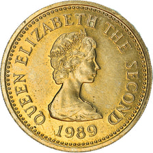 Coin, Jersey, Elizabeth II, Pound, 1989, EF(40-45), Nickel-brass, KM:75