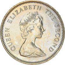 Coin, Jersey, Elizabeth II, 5 Pence, 1981, EF(40-45), Copper-nickel, KM:48