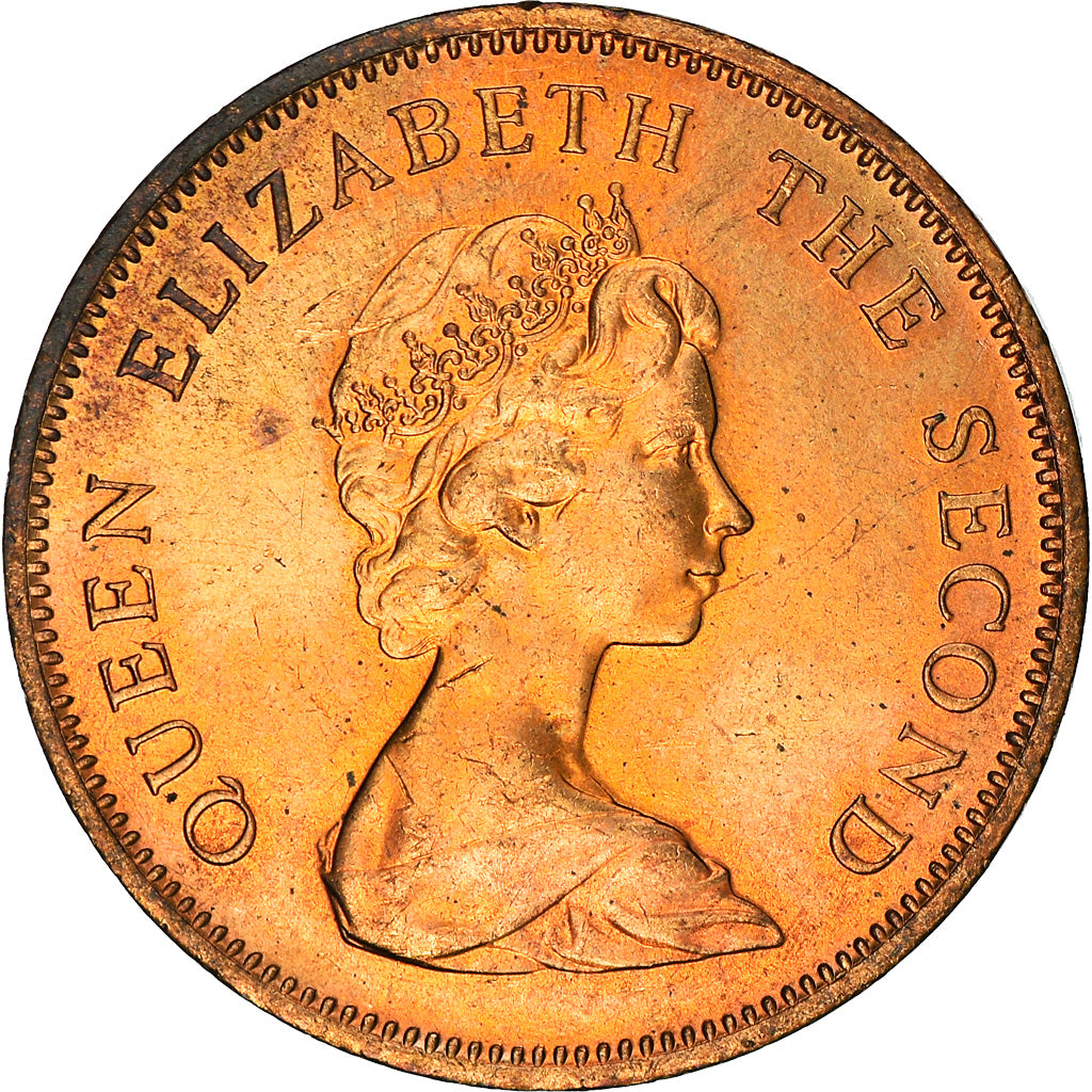 Coin, Jersey, Elizabeth II, 2 Pence, 1981, AU(55-58), Bronze, KM:47