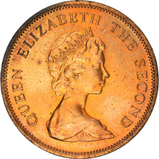 Coin, Jersey, Elizabeth II, 2 Pence, 1981, AU(55-58), Bronze, KM:47