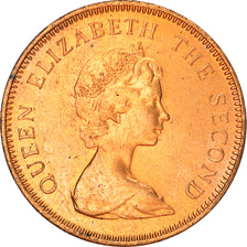 Coin, Jersey, Elizabeth II, Penny, 1981, AU(55-58), Bronze, KM:46