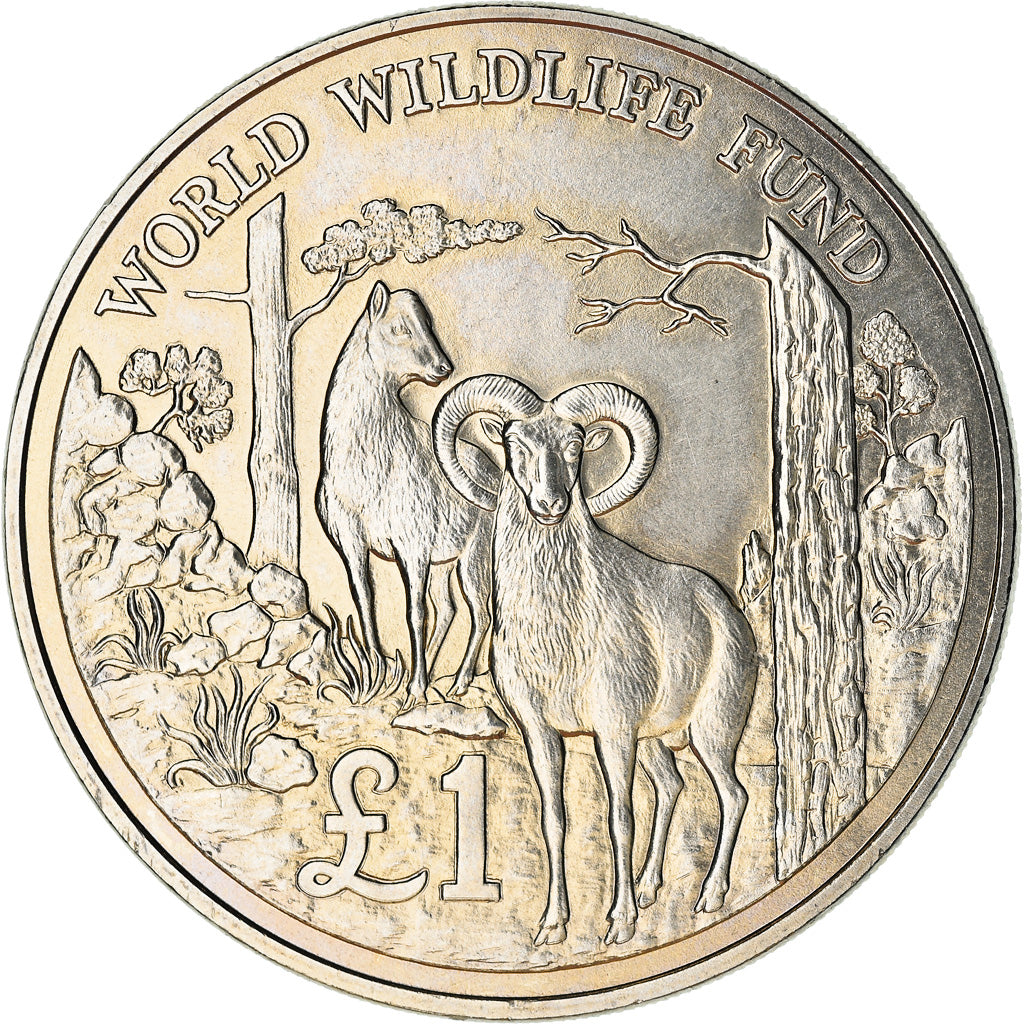 Moneda, Chipre, Pound, 1986, MBC, Plata, KM:59a