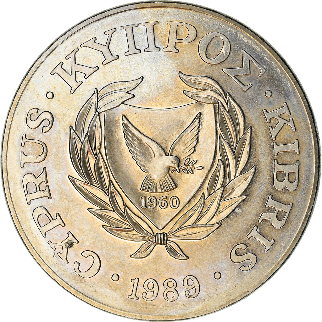 Moneta, Cypr, Pound, 1989, EF(40-45), Srebro, KM:64a