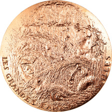 France, Médaille, Les Grandes Eaux de Versailles, Lebrun-Lenotre, History