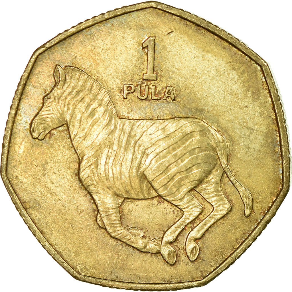 Coin, Botswana, Pula, 1991, British Royal Mint, EF(40-45), Nickel-brass, KM:24