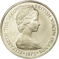 Coin, BRITISH VIRGIN ISLANDS, Elizabeth II, 5 Cents, 1975, Franklin Mint
