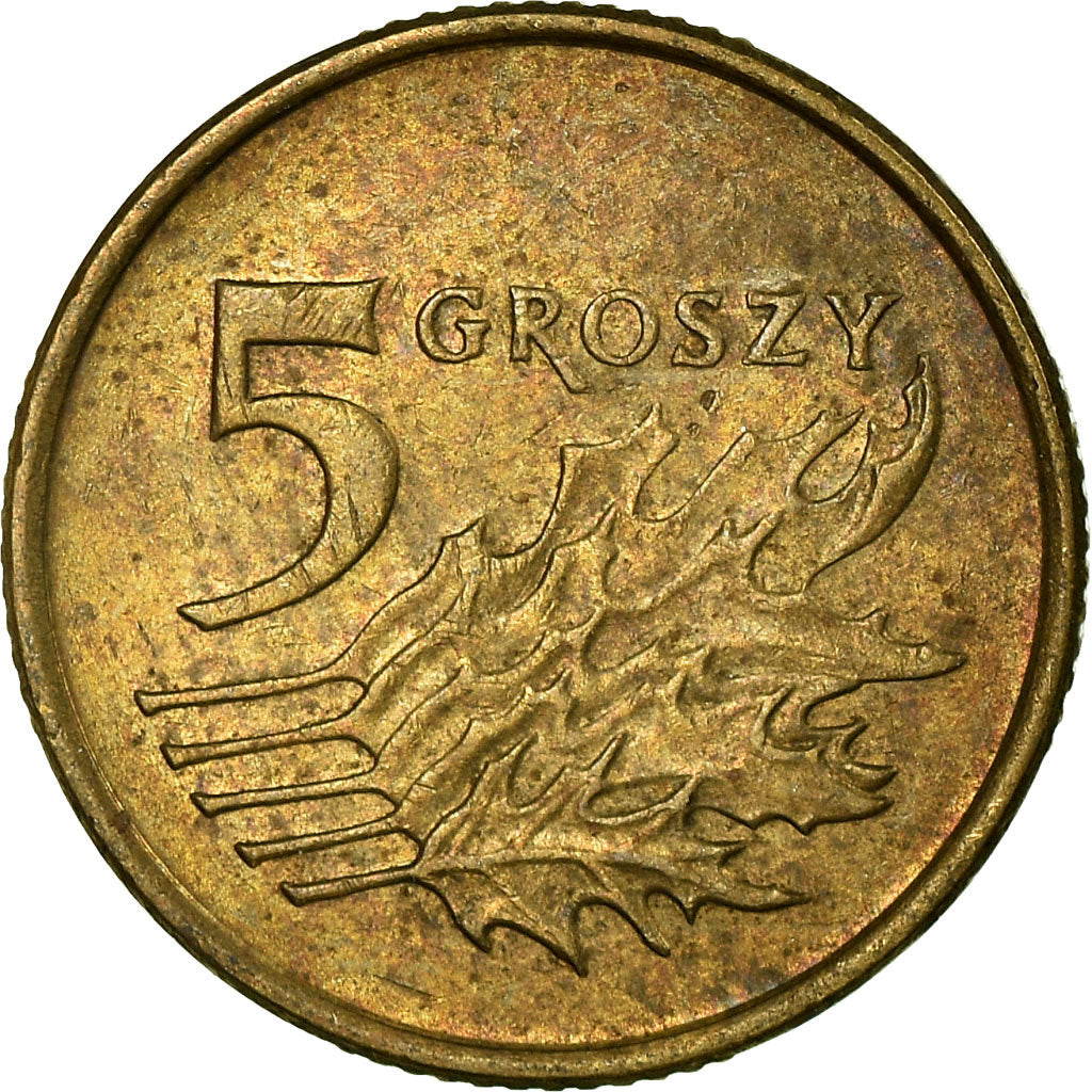 Moneda, Polonia, 5 Groszy, 1990, Warsaw, MBC, Latón, KM:278