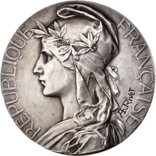 France, Medal, Ecole de Commerce et d'Industrie de Béziers, 1903, Rivet