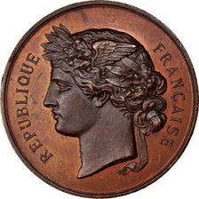 France, Médaille, Exposition Universelle de Lyon, Arts & Culture, 1872, Trotin