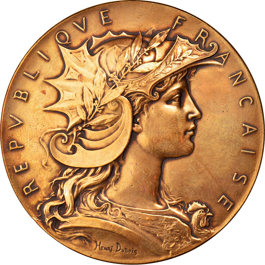 France, Médaille, Marianne Casquée, République Française, Henri Dubois, SUP