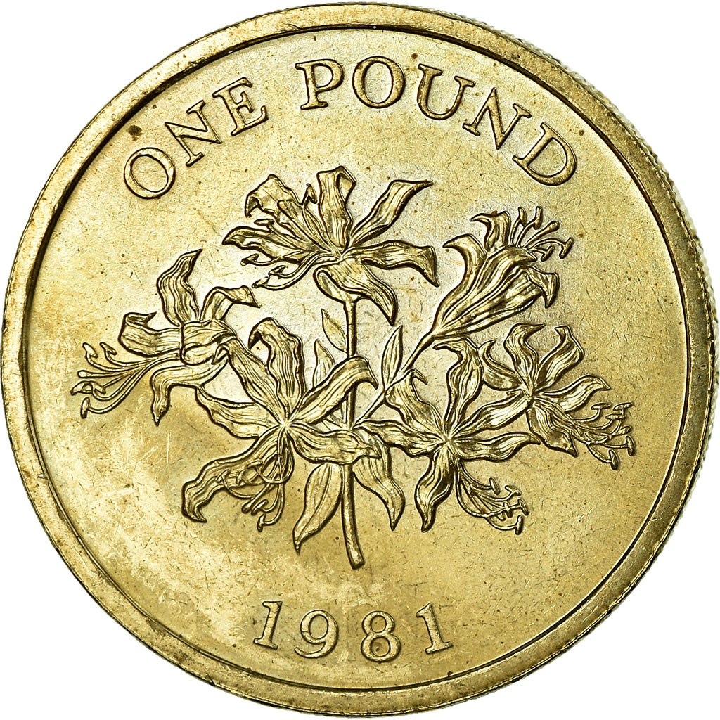 Moneda, Guernsey, Elizabeth II, Pound, 1981, SC, Níquel - latón, KM:37