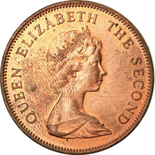 Coin, Falkland Islands, Elizabeth II, 2 Pence, 1985, EF(40-45), Bronze, KM:3