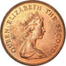 Coin, Falkland Islands, Elizabeth II, 2 Pence, 1985, EF(40-45), Bronze, KM:3
