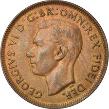 Coin, Australia, George VI, 1/2 Penny, 1951, EF(40-45), Bronze, KM:42