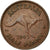 Moeda, Austrália, George VI, 1/2 Penny, 1943, EF(40-45), Bronze, KM:41