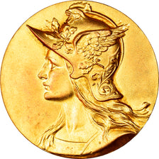 França, Medal, Syndicat des Industries du Livre, Cercle de la Librairie, Artes