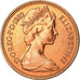 Coin, Great Britain, Elizabeth II, Penny, 1982, MS(63), Bronze, KM:927