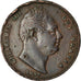 Coin, Great Britain, William IV, Farthing, 1834, VF(30-35), Copper, KM:705