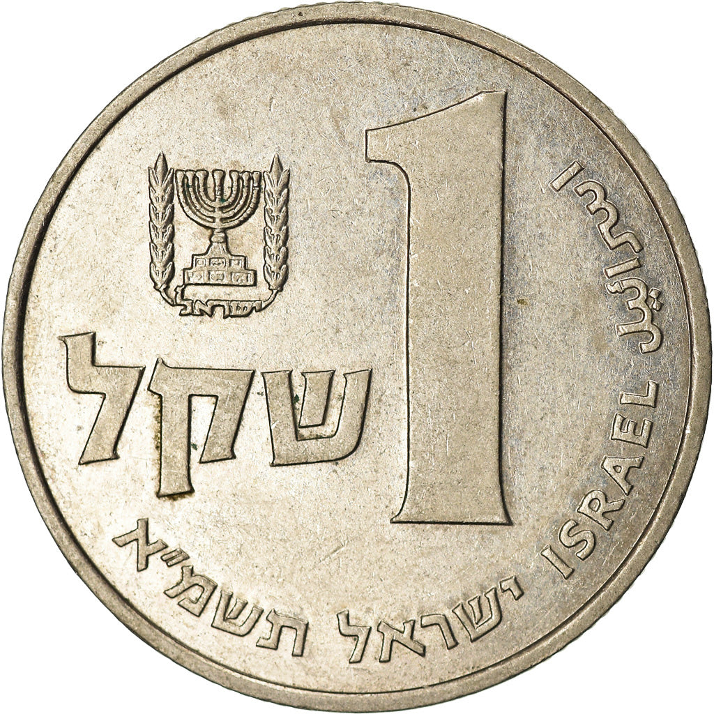 Coin, Israel, Sheqel, 1981, EF(40-45), Copper-nickel, KM:111