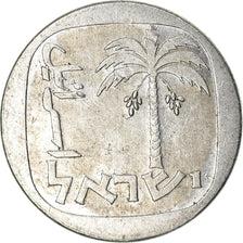 Coin, Israel, New Agora, 1981, EF(40-45), Aluminum, KM:106