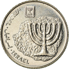 Monnaie, Israel, 100 Sheqalim, 1984, TTB, Copper-nickel, KM:143