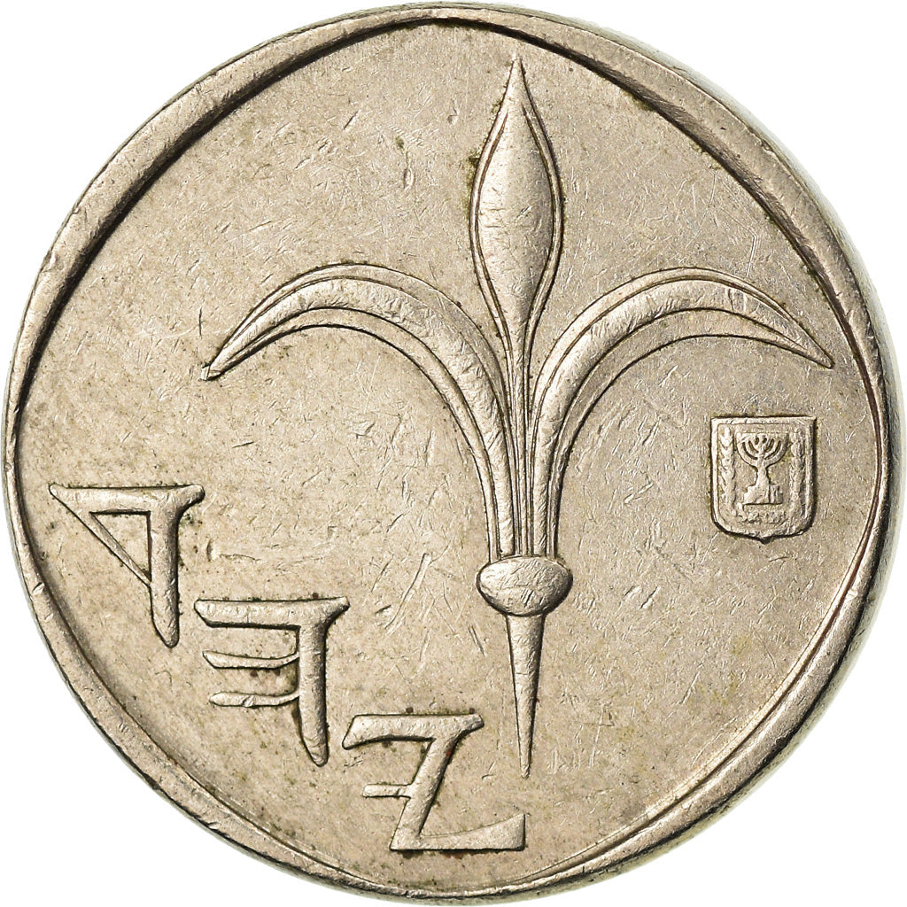 Coin, Israel, New Sheqel, 1989, EF(40-45), Copper-nickel, KM:163