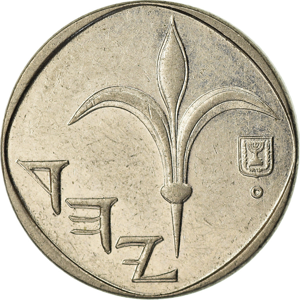 Coin, Israel, New Sheqel, 1991, EF(40-45), Copper-nickel, KM:160