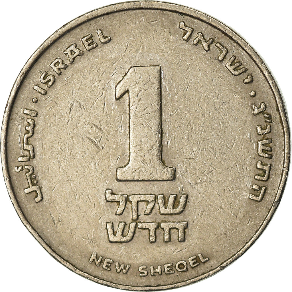 Coin, Israel, New Sheqel, 1993, EF(40-45), Copper-nickel, KM:160