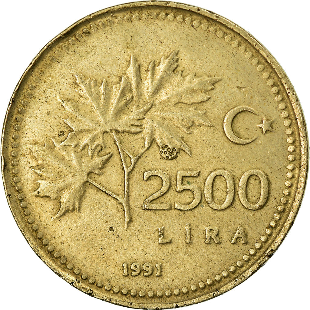 Coin, Turkey, 2500 Lira, 1991, EF(40-45), Nickel-Bronze, KM:1015