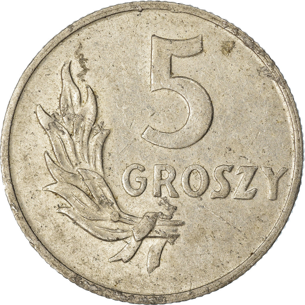 Coin, Poland, 5 Groszy, 1949, Kremnica, EF(40-45), Aluminum, KM:41a
