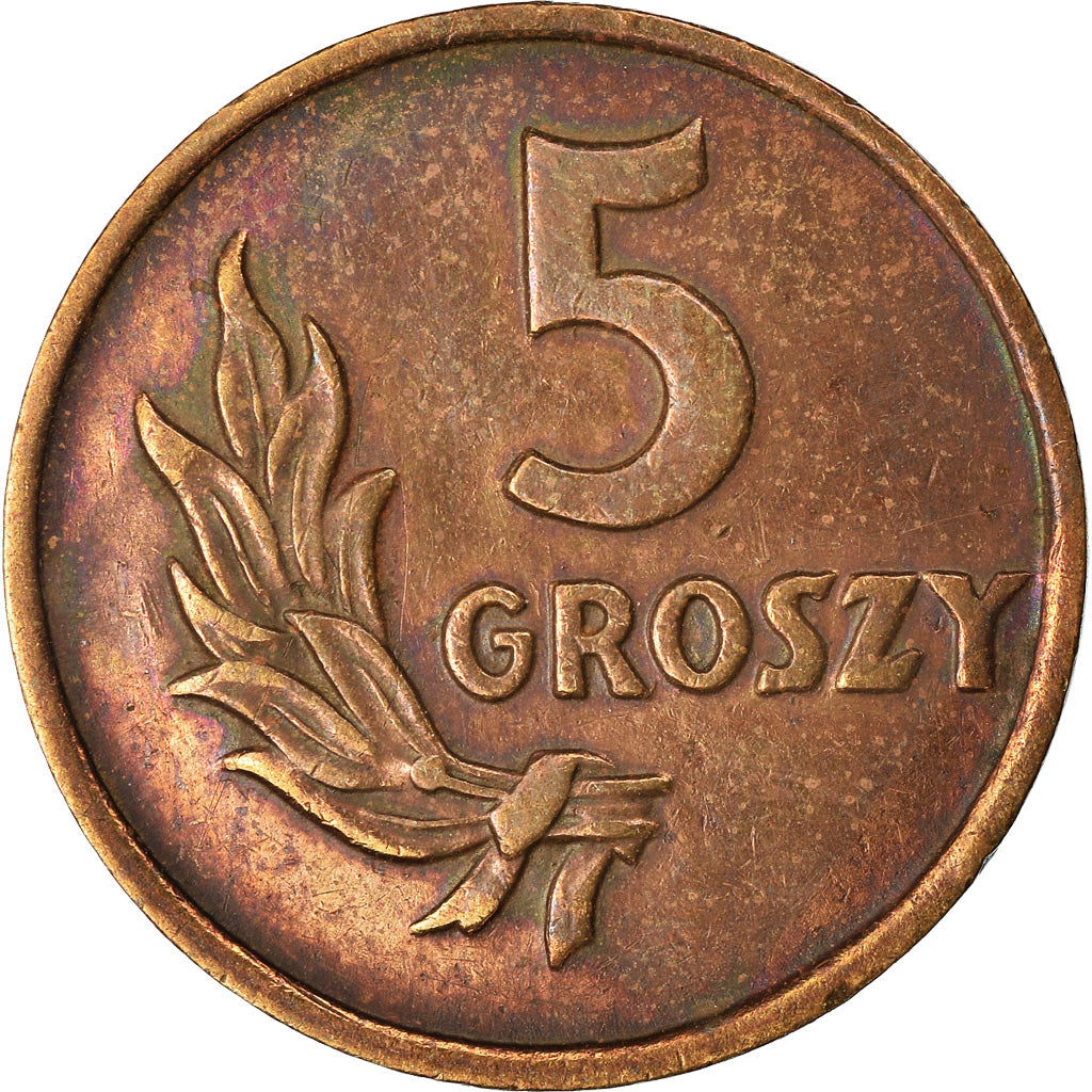 Moneta, Polonia, 5 Groszy, 1949, Basel, BB, Bronzo, KM:41