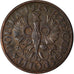 Coin, Poland, Grosz, 1925, Warsaw, EF(40-45), Bronze, KM:8a