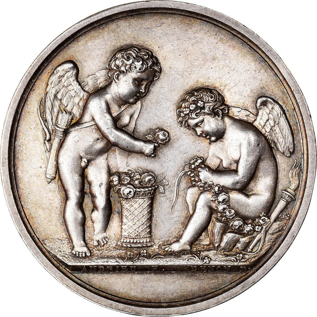 France, Medal, Louis XVIII, Mariage, Anges, Religions & beliefs, 1815, Denon /
