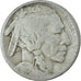 Münze, Vereinigte Staaten, Buffalo Nickel, 5 Cents, 1919, U.S. Mint