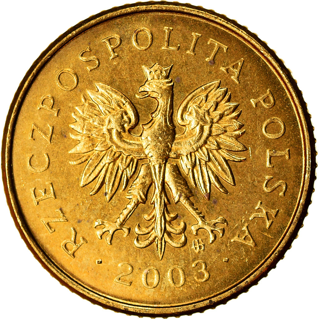 Monnaie, Pologne, Grosz, 2003, Warsaw, SPL, Laiton, KM:276