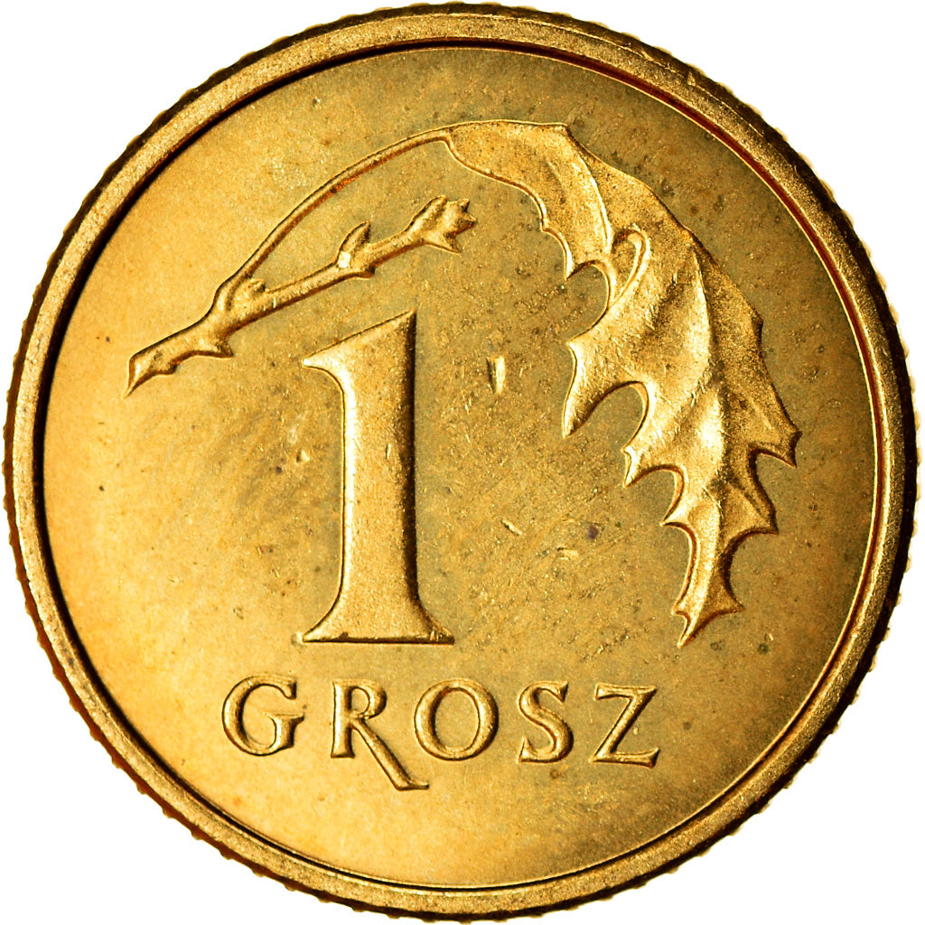 Monnaie, Pologne, Grosz, 2003, Warsaw, SPL, Laiton, KM:276
