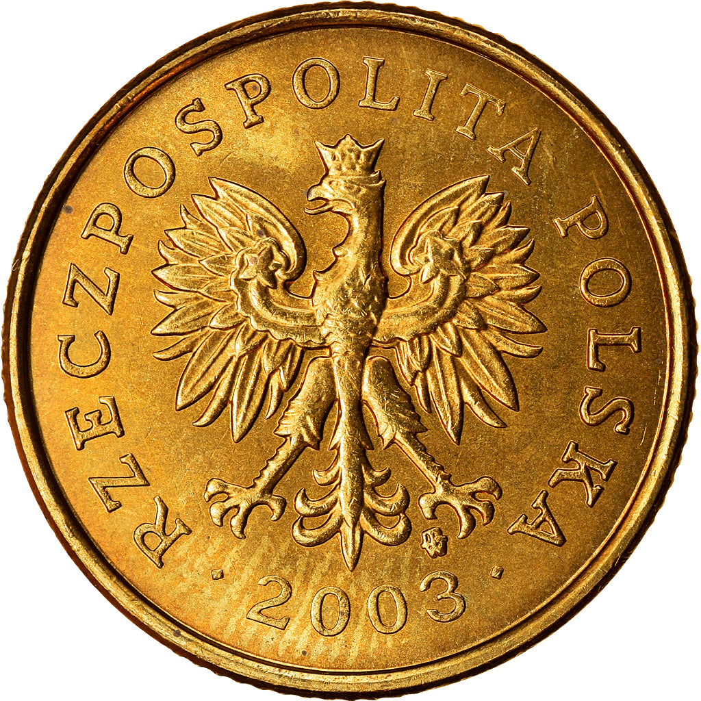Coin, Poland, 5 Groszy, 2003, Warsaw, AU(55-58), Brass, KM:278