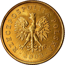 Coin, Poland, 5 Groszy, 2003, Warsaw, AU(55-58), Brass, KM:278