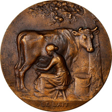 France, Médaille, Le Lait, Alfred Duault, Député des Côtes du Nord