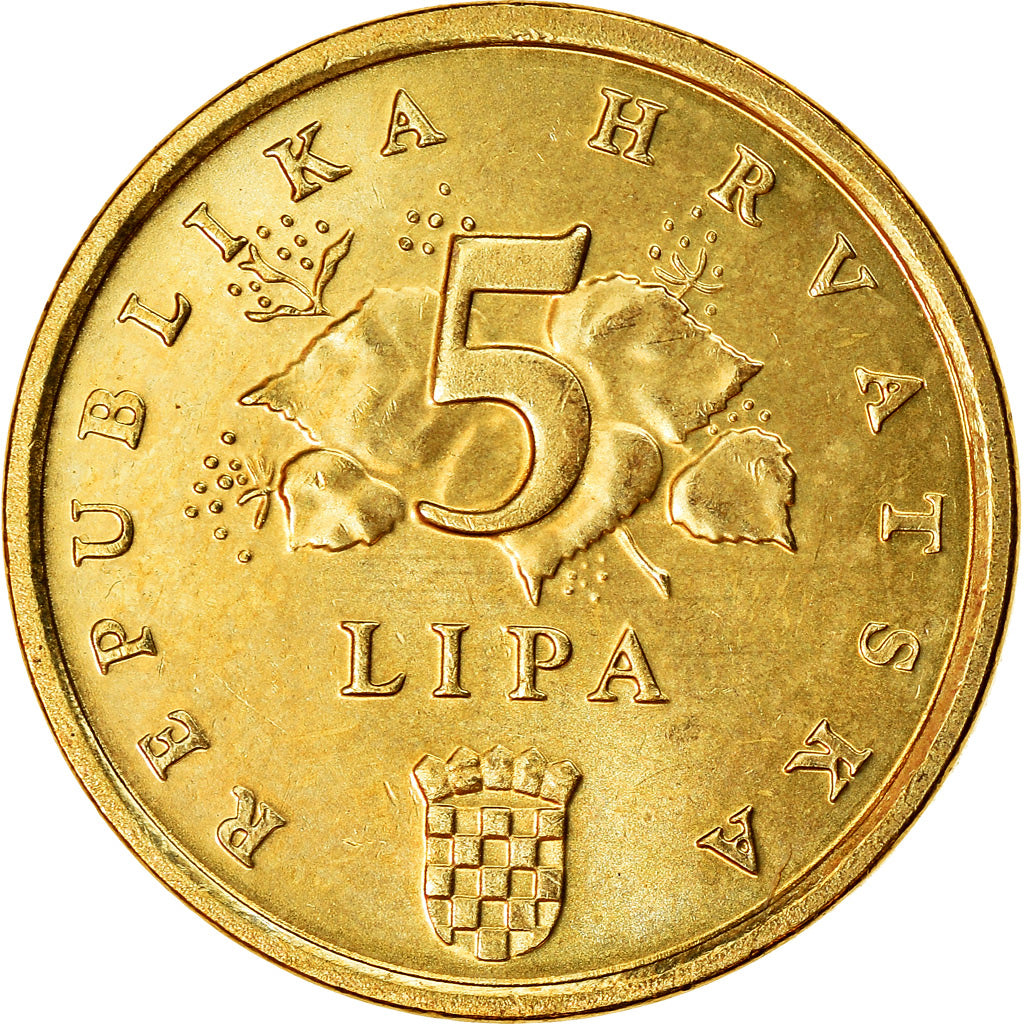Coin, Croatia, 5 Lipa, 2007, AU(55-58), Brass plated steel, KM:5